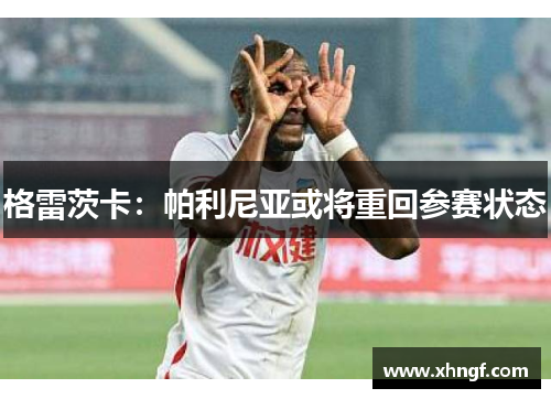 格雷茨卡：帕利尼亚或将重回参赛状态