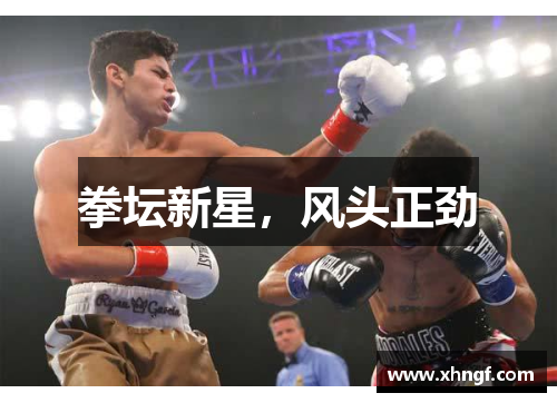 拳坛新星，风头正劲
